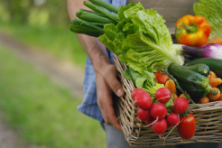 Слабкість нормативної бази стримує зростання ринку органічних продуктів в Україні
