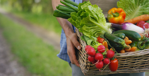 Lack of regulation hampers growth of organic market in Ukraine