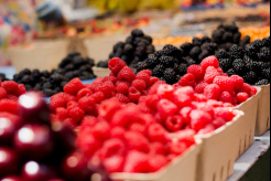 How to get the best out of a Trade Fair: one-day training for Ukrainian berry producers