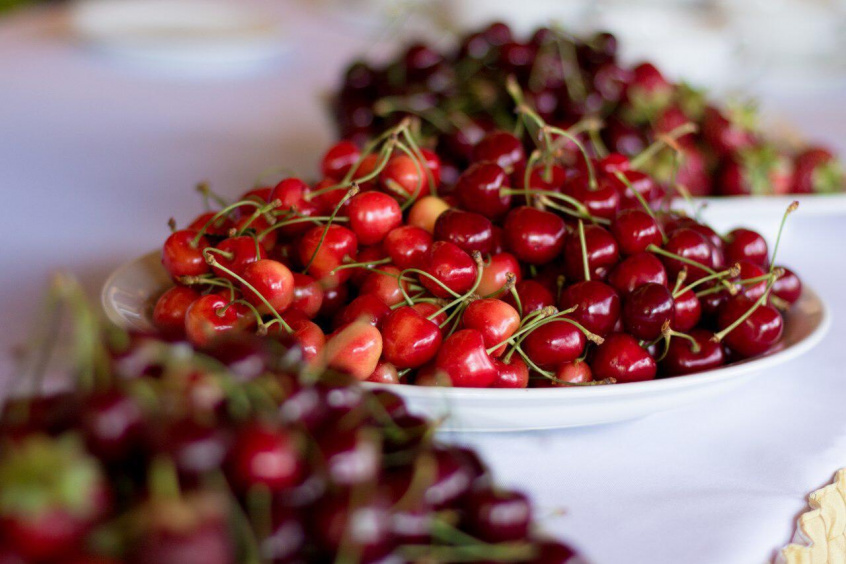 Ukrainian berry producers eye sweet opportunities in foreign markets