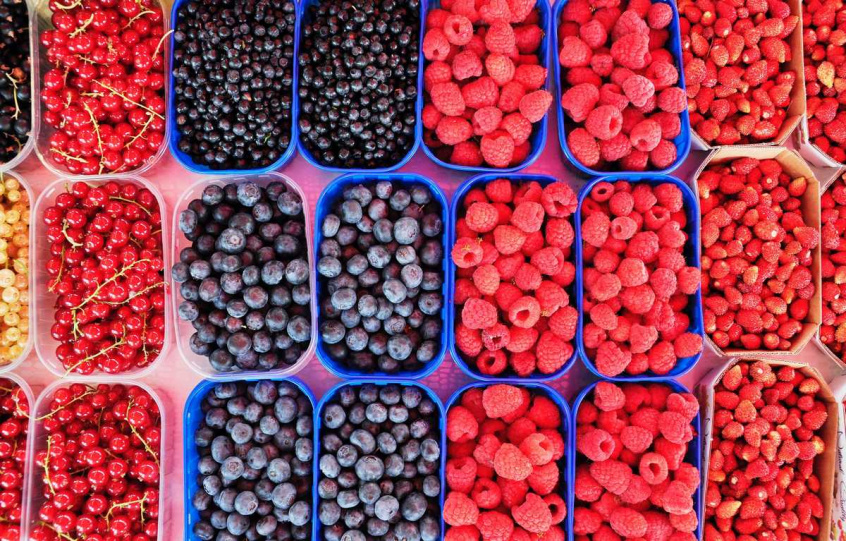 Ukrainian berry producers participate in the world-renowned online trade fair