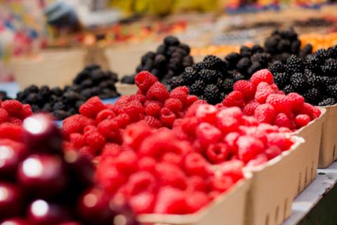 International experts to visit Ukrainian berry producers