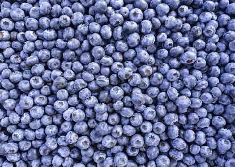 ITC starts discussion on Road Map for Ukrainian berry sector development