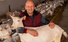 A goat farm in the European manner: experience of an entrepreneur from Kyiv region