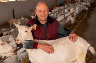 A goat farm in the European manner: experience of an entrepreneur from Kyiv region