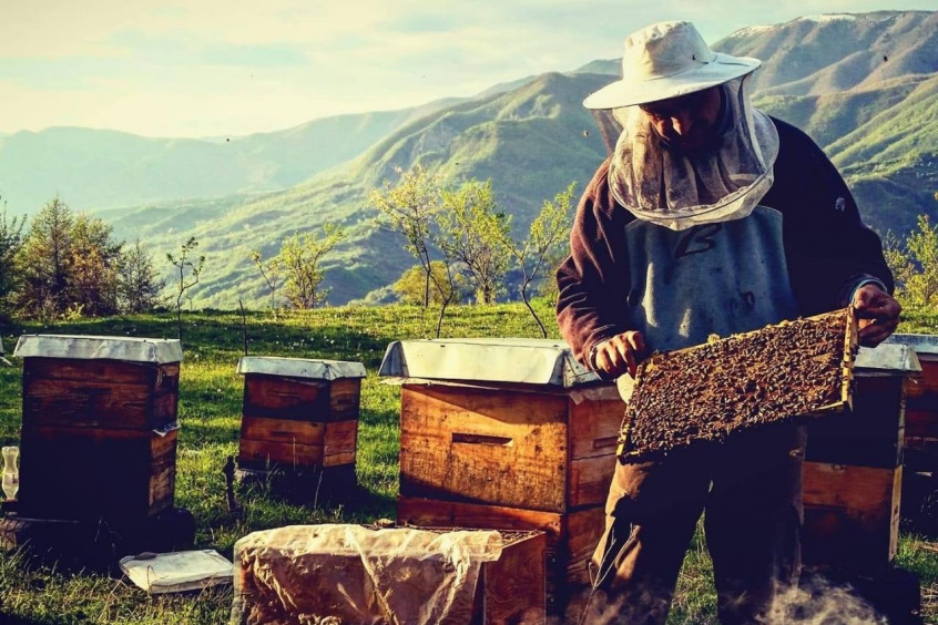 Georgian beekeepers expand production with EU support