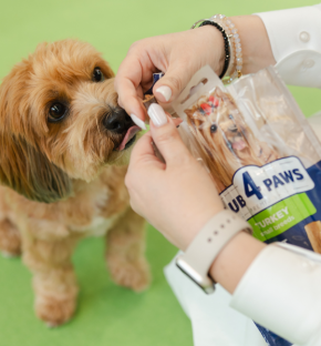 Від родинної ідеї до глобального бренду. Як українська компанія Kormotech розширює експорт під час війни