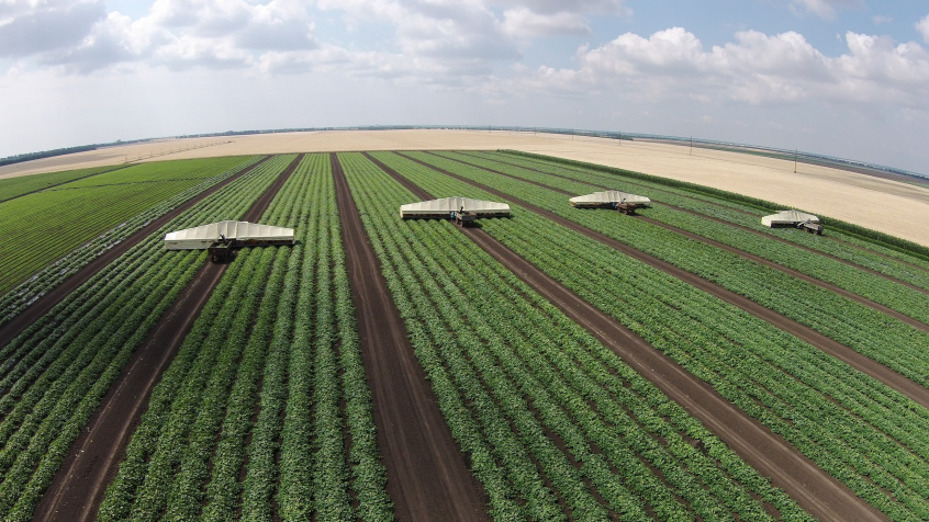 Keeping Ukraine’s “Tomato Belt” Alive: How EU4Business Supports Evrika in Wartime